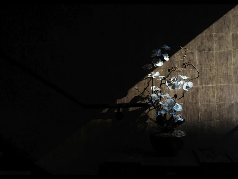 Ikebana Issaharmuseum1 Copie