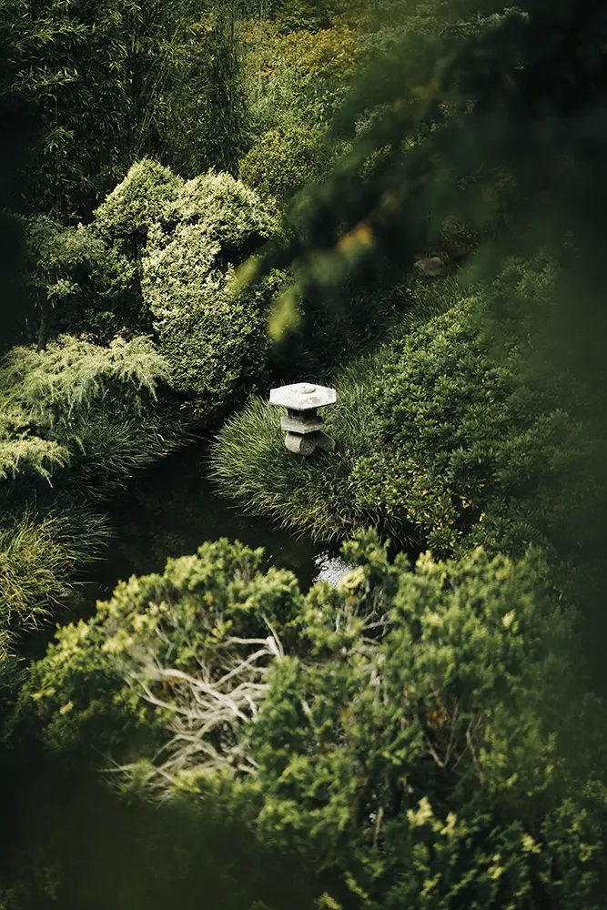 Jardin japonais 2.webp