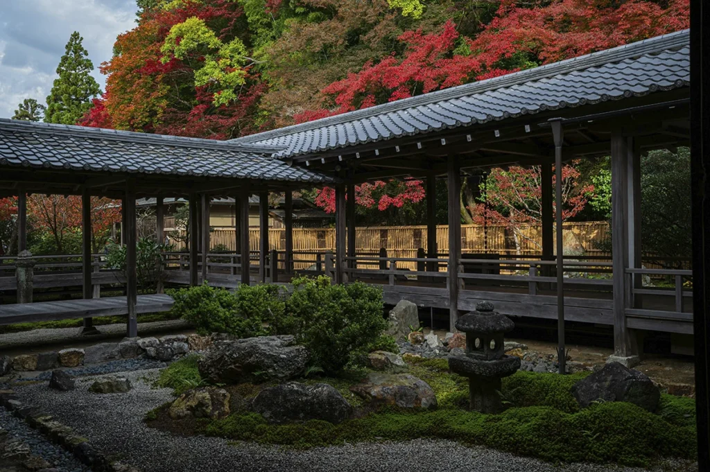 Jardin japonais 3.webp