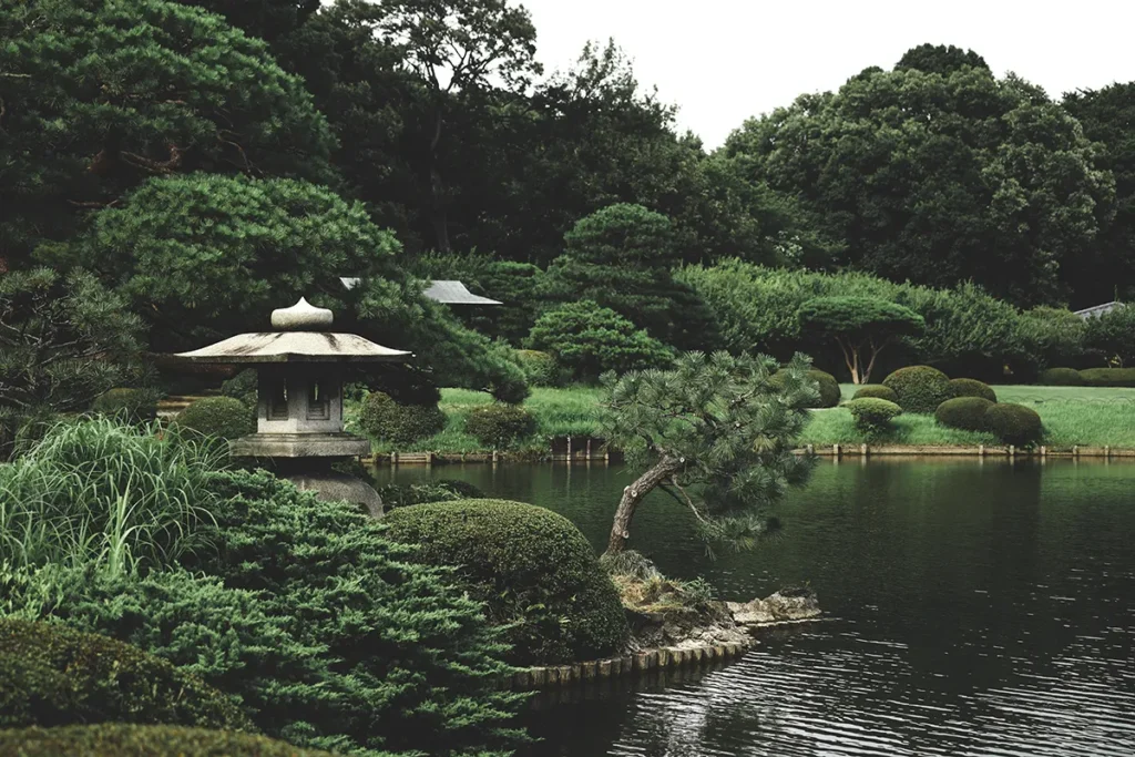 Jardin japonais 6.webp