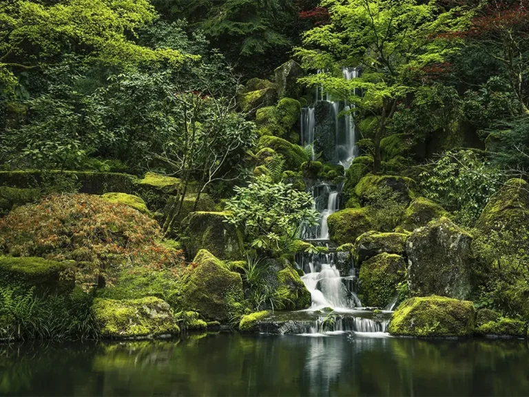 Jardin japonais issaharmuseum